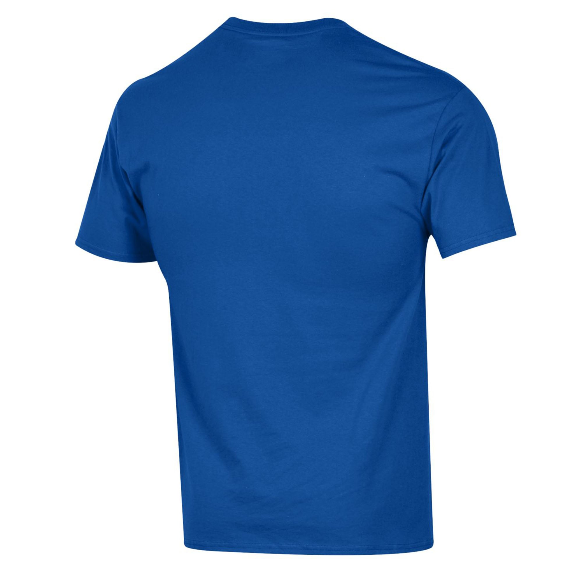 Men's Champion Royal Delaware Fightin' Blue Hens Arch Over Logo T-Shirt